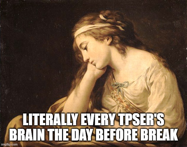 The Brain Before School Break | LITERALLY EVERY TPSER'S BRAIN THE DAY BEFORE BREAK | image tagged in the melancholy | made w/ Imgflip meme maker