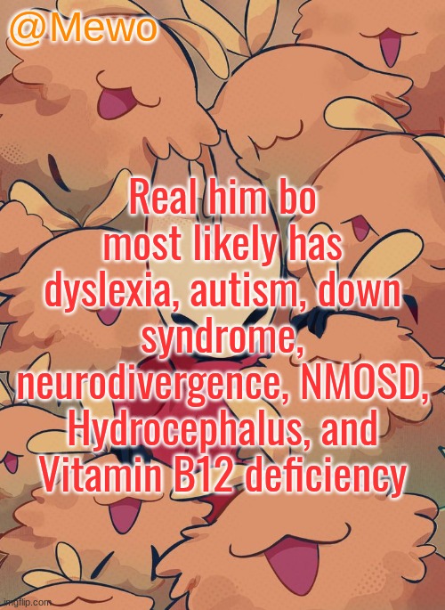 Mewo silksong announcement temp | Real him bo most likely has dyslexia, autism, down syndrome, neurodivergence, NMOSD, Hydrocephalus, and Vitamin B12 deficiency | image tagged in mewo silksong announcement temp | made w/ Imgflip meme maker