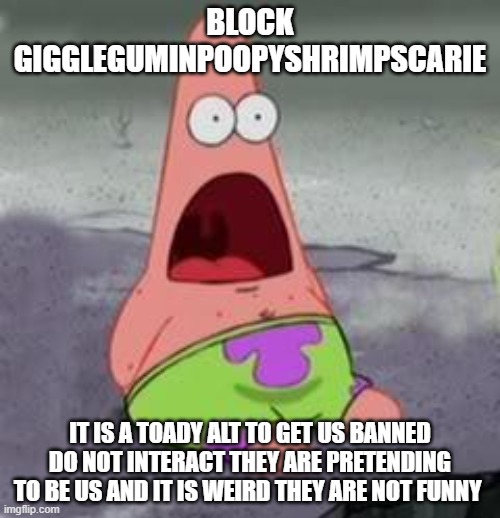 Helol | BLOCK GIGGLEGUMINPOOPYSHRIMPSCARIE; IT IS A TOADY ALT TO GET US BANNED DO NOT INTERACT THEY ARE PRETENDING TO BE US AND IT IS WEIRD THEY ARE NOT FUNNY | image tagged in suprised patrick | made w/ Imgflip meme maker