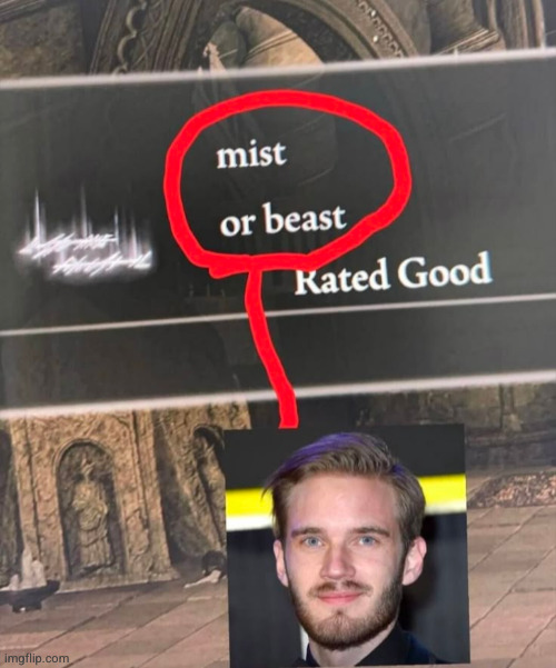 mist or beast | image tagged in mister beast | made w/ Imgflip meme maker