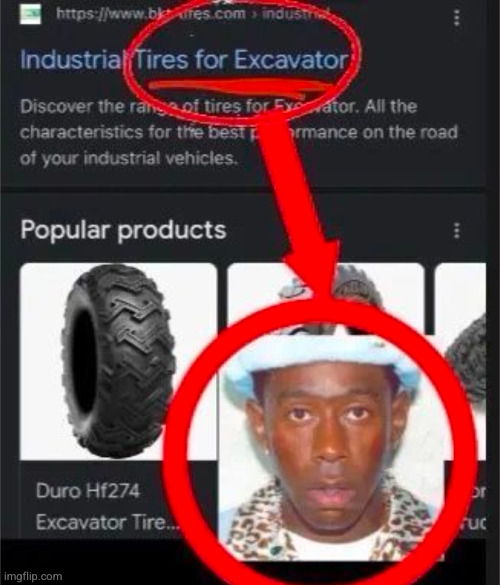 Tyler reference | image tagged in tyler the creator | made w/ Imgflip meme maker