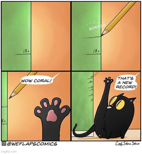 WeFlaps | image tagged in cats,comics,weflaps,coral,new record | made w/ Imgflip meme maker