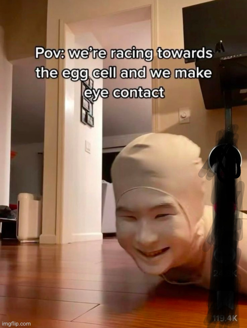 ts a turtle race | image tagged in sperm,meme,tiktok | made w/ Imgflip meme maker