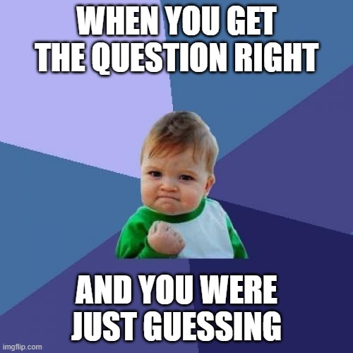 Success Kid | WHEN YOU GET THE QUESTION RIGHT; AND YOU WERE JUST GUESSING | image tagged in memes,success kid | made w/ Imgflip meme maker
