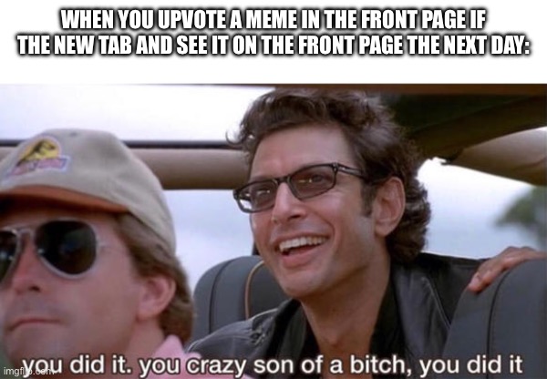 Feels good even though I haven’t made it to the front page myself | WHEN YOU UPVOTE A MEME IN THE FRONT PAGE IF THE NEW TAB AND SEE IT ON THE FRONT PAGE THE NEXT DAY: | image tagged in you crazy son of a bitch you did it,fun stream,memes | made w/ Imgflip meme maker