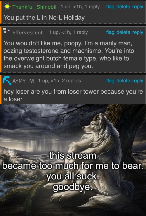 its over....you gone to far... | this stream became too much for me to bear.
you all suck.
goodbye. | image tagged in lone wolf | made w/ Imgflip meme maker