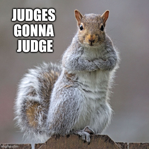 squirrel of judgement | JUDGES 
GONNA 
JUDGE | image tagged in squirrel of judgement | made w/ Imgflip meme maker