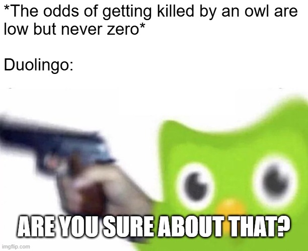 He's always there | *The odds of getting killed by an owl are
low but never zero*
‎ 
Duolingo:; ARE YOU SURE ABOUT THAT? | image tagged in duolingo gun | made w/ Imgflip meme maker