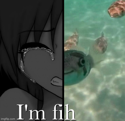 calm down | image tagged in fish,anime,funny,i'm fine | made w/ Imgflip meme maker