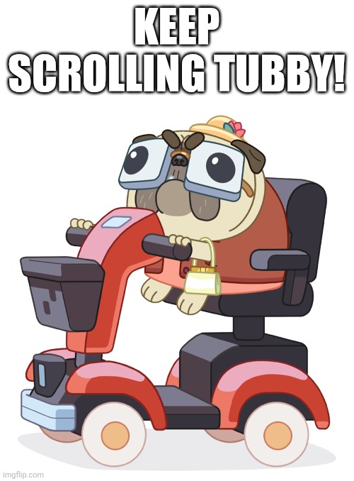 Old pug | KEEP SCROLLING TUBBY! | image tagged in bluey | made w/ Imgflip meme maker