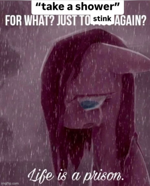 I mod 31 discord streams and 110 kittens are begging me for attention | image tagged in discord,loser,my little pony,funny,shower | made w/ Imgflip meme maker