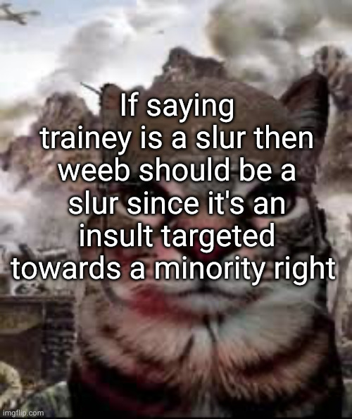 bruhhh tell me I'm right lol right guys guys right guys | If saying trainey is a slur then weeb should be a slur since it's an insult targeted towards a minority right | image tagged in 1000 yard stare cat | made w/ Imgflip meme maker