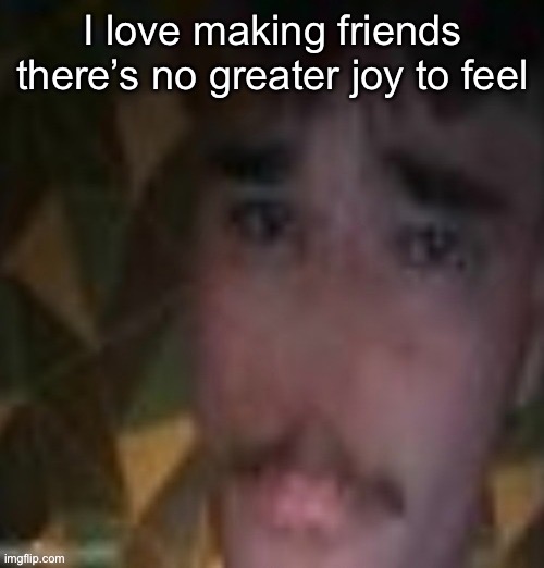 Sname | I love making friends there’s no greater joy to feel | image tagged in sname | made w/ Imgflip meme maker