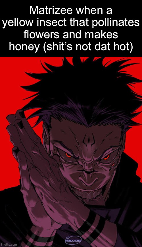 Just look at his posts | Matrizee when a yellow insect that pollinates flowers and makes honey (shit’s not dat hot) | image tagged in freaky sukuna,msmg | made w/ Imgflip meme maker