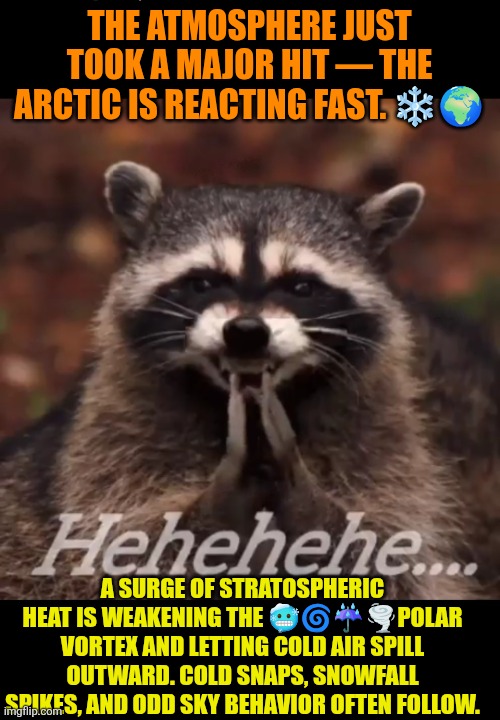 Polar vortex raccoon | THE ATMOSPHERE JUST TOOK A MAJOR HIT — THE ARCTIC IS REACTING FAST. ❄️🌍; A SURGE OF STRATOSPHERIC HEAT IS WEAKENING THE 🥶🌀☔️🌪POLAR VORTEX AND LETTING COLD AIR SPILL OUTWARD. COLD SNAPS, SNOWFALL SPIKES, AND ODD SKY BEHAVIOR OFTEN FOLLOW. | image tagged in wicked raccoon,cold,winter,raccoon | made w/ Imgflip meme maker