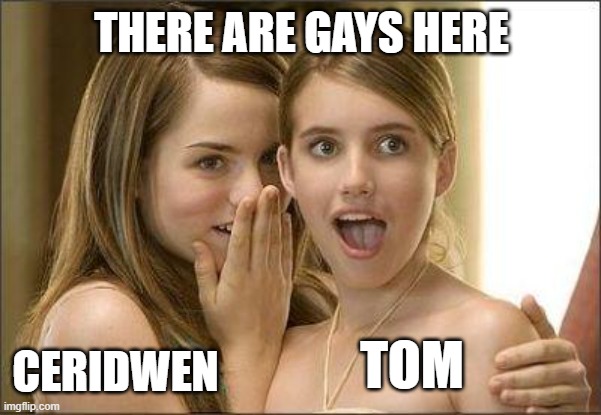 Girls gossiping | THERE ARE GAYS HERE; CERIDWEN; TOM | image tagged in girls gossiping | made w/ Imgflip meme maker
