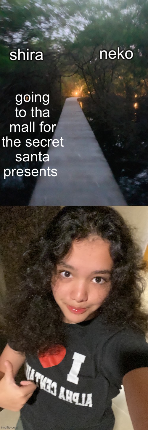 going to tha mall for the secret santa presents | image tagged in shira n neko shared temp | made w/ Imgflip meme maker