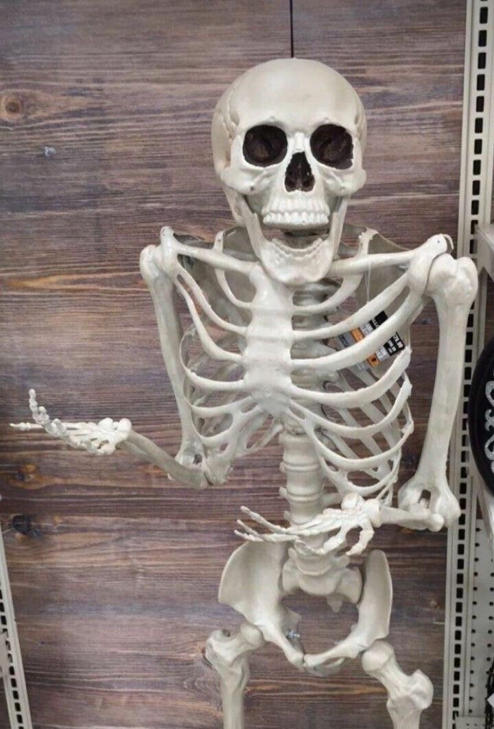 Shrugging skeleton Blank Meme Template