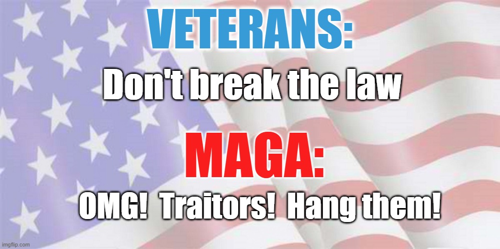 Support Our Troops & Veterans? | VETERANS:; Don't break the law; MAGA:; OMG!  Traitors!  Hang them! | image tagged in veterans,trump supporters,maga,patriots,trump | made w/ Imgflip meme maker