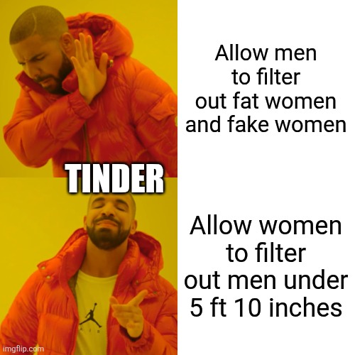 Because why find real love with a man shorter than you when you can be stuck in the Stone Age instead? | Allow men to filter out fat women and fake women; TINDER; Allow women to filter out men under 5 ft 10 inches | image tagged in memes,drake hotline bling | made w/ Imgflip meme maker