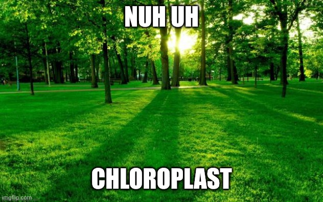Grass and trees | NUH UH CHLOROPLAST | image tagged in grass and trees | made w/ Imgflip meme maker