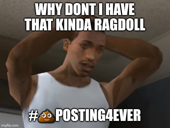 WHY DONT I HAVE THAT KINDA RAGDOLL #?POSTING4EVER | image tagged in desperate cj | made w/ Imgflip meme maker