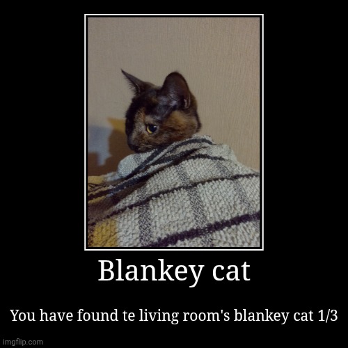 Blankey cat 1 how this works is that the blanket cats are hidden in 3 different steams and once you have found all 3, da lair | Blankey cat | You have found te living room's blankey cat 1/3 | image tagged in funny,demotivationals | made w/ Imgflip demotivational maker