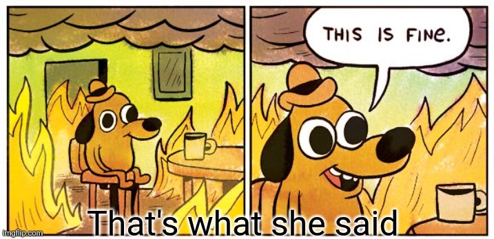 This Is Fine Meme | That's what she said | image tagged in memes,this is fine | made w/ Imgflip meme maker