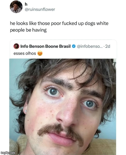 image tagged in benson boone,dogs | made w/ Imgflip meme maker