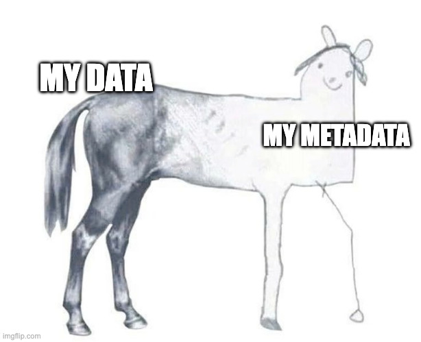 What do you mean images don't just go on storage? | MY DATA; MY METADATA | image tagged in data,metadata,microscopy | made w/ Imgflip meme maker