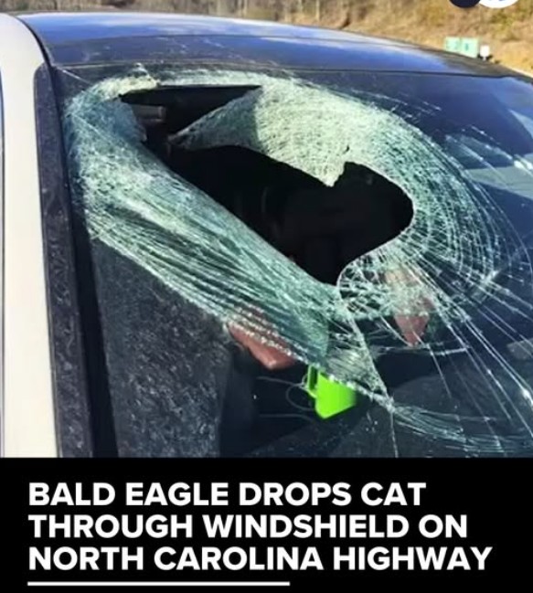 broken window Blank Meme Template