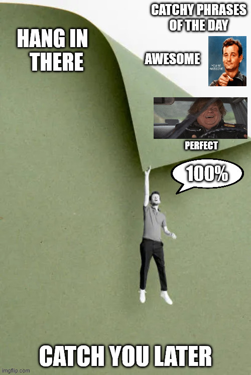 CATCHY PHRASES
OF THE DAY; AWESOME; PERFECT | image tagged in what's next | made w/ Imgflip meme maker
