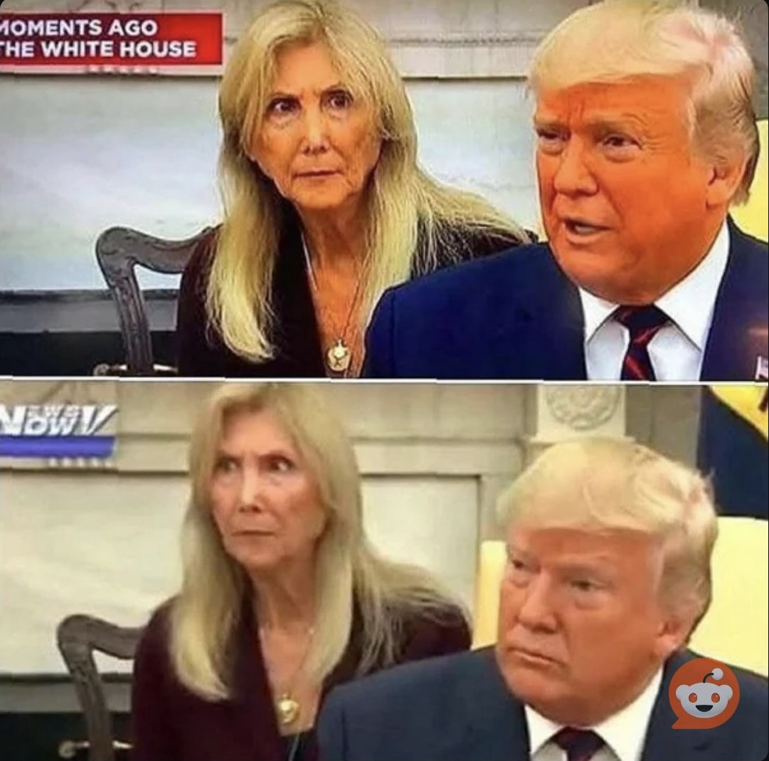 Trump and translator Blank Meme Template