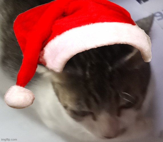 five fridays left until christmas | image tagged in ming mong | made w/ Imgflip meme maker