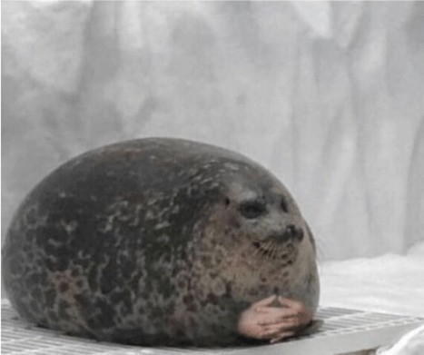 seal hands Blank Meme Template