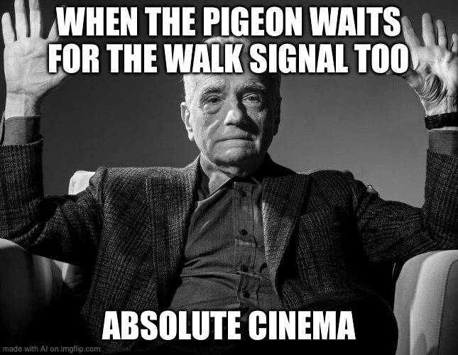 Man | WHEN THE PIGEON WAITS FOR THE WALK SIGNAL TOO; ABSOLUTE CINEMA | image tagged in absolute cinema | made w/ Imgflip meme maker