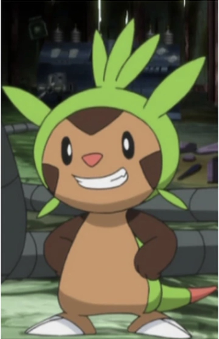 Awkward Chespin Blank Meme Template