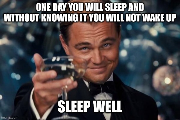 You're welcome ☺️ | ONE DAY YOU WILL SLEEP AND WITHOUT KNOWING IT YOU WILL NOT WAKE UP; SLEEP WELL | image tagged in memes,leonardo dicaprio cheers | made w/ Imgflip meme maker