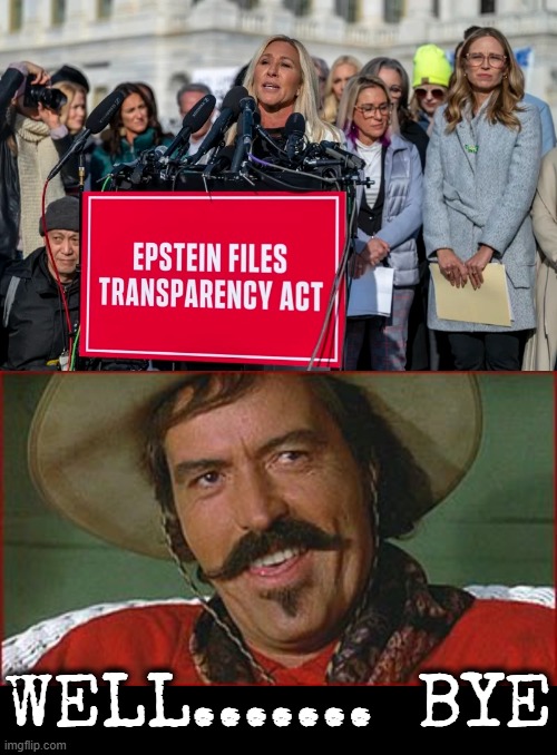 Well......  Bye | WELL.......  BYE | image tagged in marjorie taylor greene,maga,congress,resign,jeffrey epstein,trump | made w/ Imgflip meme maker