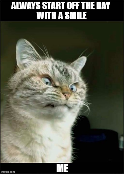 I Relate To This Cat ! | ALWAYS START OFF THE DAY
 WITH A SMILE; ME | image tagged in cats,grimace,relatable | made w/ Imgflip meme maker
