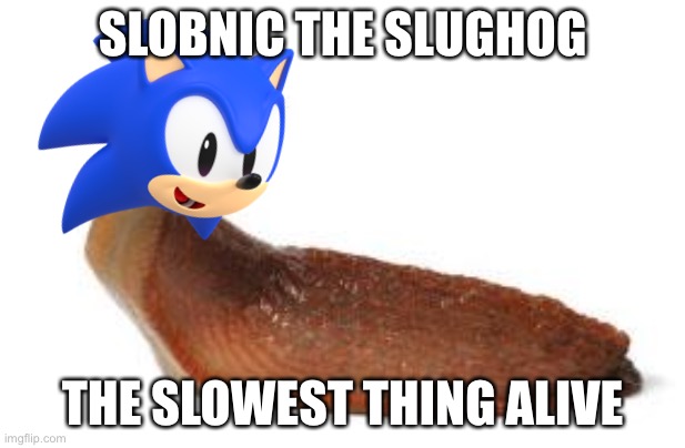 slug life | SLOBNIC THE SLUGHOG; THE SLOWEST THING ALIVE | image tagged in slug life | made w/ Imgflip meme maker