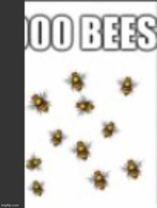 boo bees | made w/ Imgflip meme maker