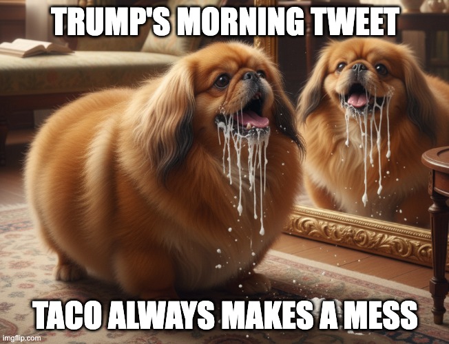 TACO Tweeter | TRUMP'S MORNING TWEET; TACO ALWAYS MAKES A MESS | made w/ Imgflip meme maker