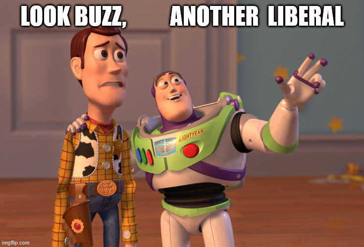 LOOK BUZZ,          ANOTHER  LIBERAL | image tagged in memes,x x everywhere | made w/ Imgflip meme maker