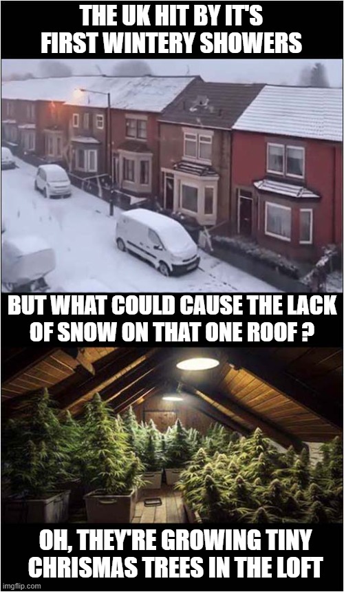 Everybody Needs Good Neighbours This Time Of Year | THE UK HIT BY IT'S FIRST WINTERY SHOWERS; BUT WHAT COULD CAUSE THE LACK
 OF SNOW ON THAT ONE ROOF ? OH, THEY'RE GROWING TINY CHRISMAS TREES IN THE LOFT | image tagged in snow,neighbours,cannabis,christmas trees | made w/ Imgflip meme maker