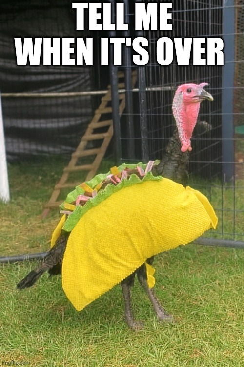 Tell Me When It's Over | TELL ME WHEN IT'S OVER | image tagged in chrisjoines1 | made w/ Imgflip meme maker