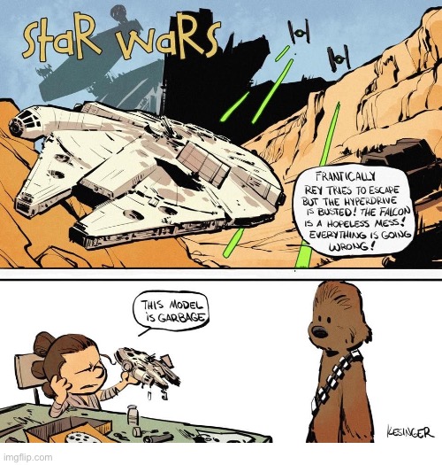 Rey & Chewie | image tagged in comics,star wars,calvin and hobbes,mashup,rey,chewie | made w/ Imgflip meme maker
