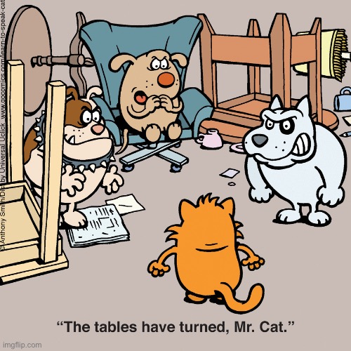 Learn To Speak Cat | image tagged in comics,learn to speak cat,cats,dogs,tables have turned | made w/ Imgflip meme maker