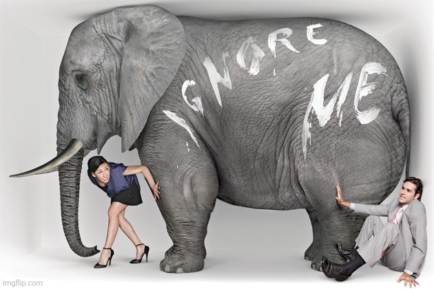 elephant in the room | image tagged in elephant in the room | made w/ Imgflip meme maker
