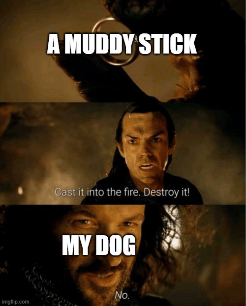 I will not drop the stick! | A MUDDY STICK; MY DOG | image tagged in cast it in the fire | made w/ Imgflip meme maker
